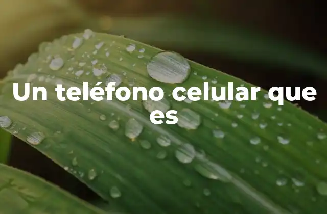 Un Teléfono Celular que es