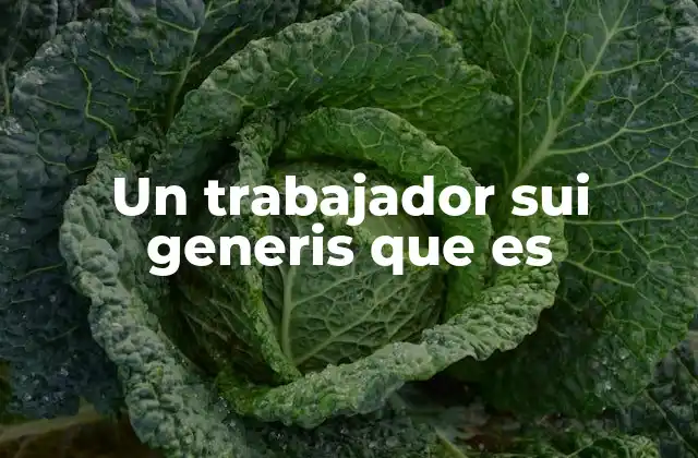 Un Trabajador Sui Generis que es