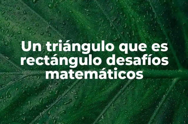 Un Triángulo que es Rectángulo Desafíos Matemáticos