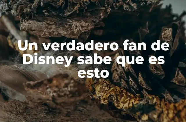 Un Verdadero Fan de Disney Sabe que es Esto