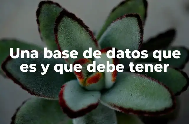 Una Base de Datos que es y que Debe Tener
