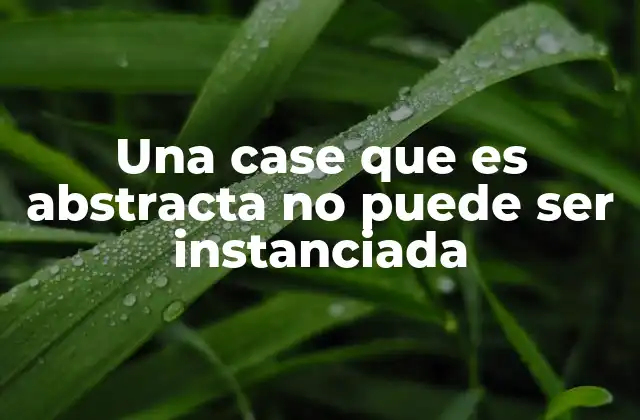Una Case que es Abstracta No Puede Ser Instanciada