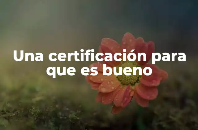 Una Certificación para que es Bueno