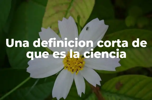 Una Definicion Corta de que es la Ciencia