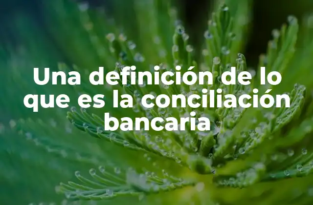 Una Definición de Lo que es la Conciliación Bancaria