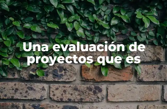 Una Evaluación de Proyectos que es 2 El rol de la evaluación en la toma de decisiones empresariales