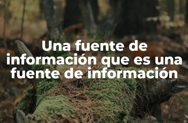 Una Fuente de Información que es una Fuente de Información