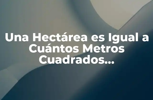 Una Hectárea es Igual a Cuántos Metros Cuadrados Exactamente
