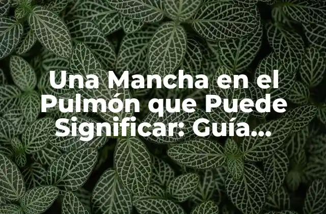 Una Mancha en el Pulmón que Puede Significar: Guía Completa
