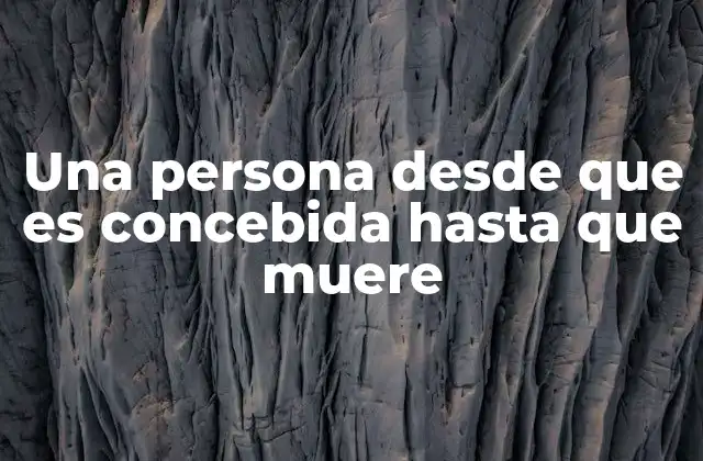 Una Persona desde que es Concebida hasta que Muere