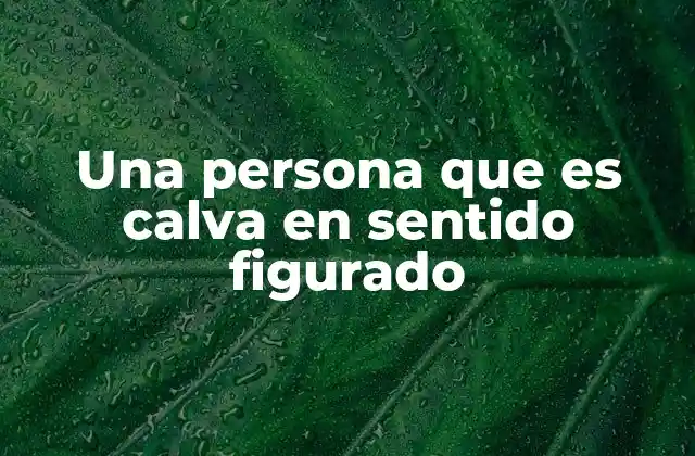 Una Persona que es Calva en Sentido Figurado