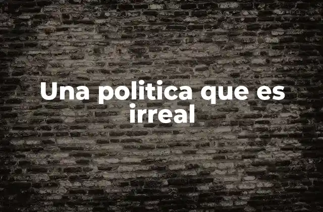 Una Politica que es Irreal