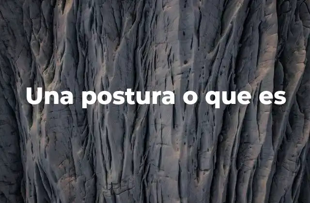 Una Postura o que es