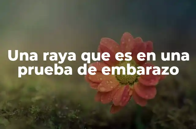 Una Raya que es en una Prueba de Embarazo