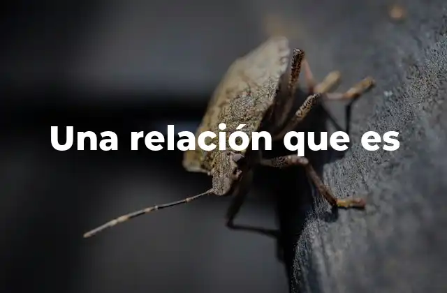 Una Relación que es