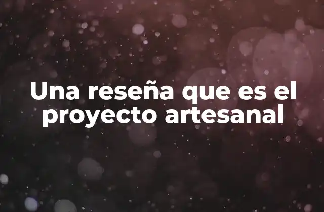 Una Reseña que es el Proyecto Artesanal