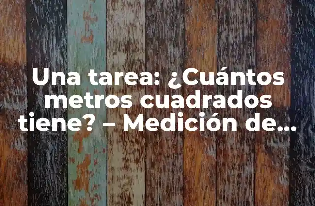 Una Tarea: ¿cuántos Metros Cuadrados Tiene? – Medición de Superficies