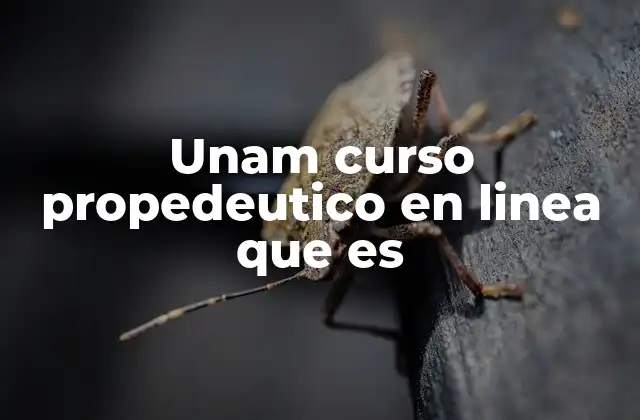 Unam Curso Propedeutico en Linea que es