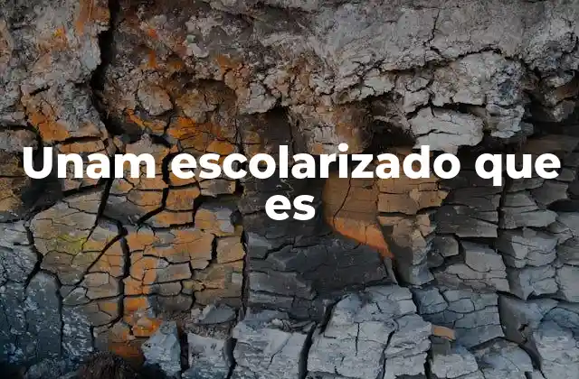 Unam Escolarizado que es