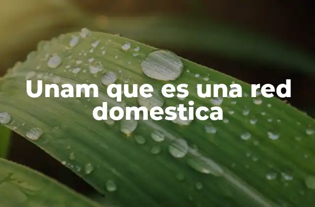 Unam que es una Red Domestica