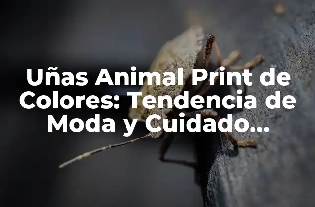 Uñas Animal Print de Colores: Tendencia de Moda y Cuidado Personal