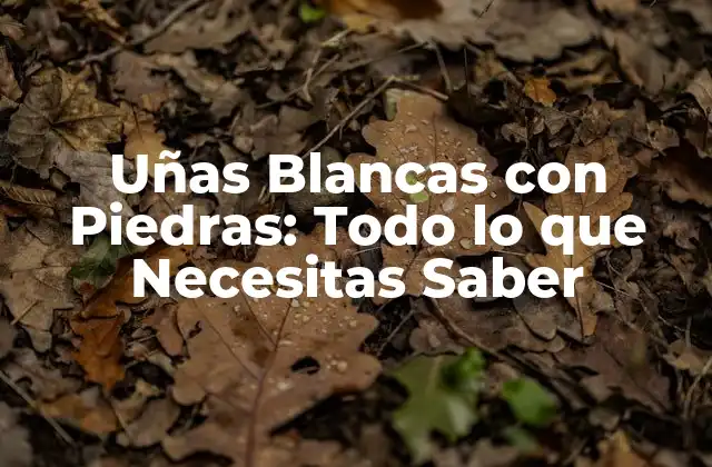Uñas Blancas con Piedras: Todo Lo que Necesitas Saber