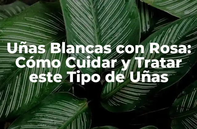 Uñas Blancas con Rosa: Cómo Cuidar y Tratar Este Tipo de Uñas