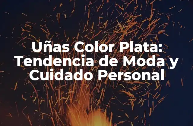 Uñas Color Plata: Tendencia de Moda y Cuidado Personal 2 ¿Qué son las Uñas Color Plata?