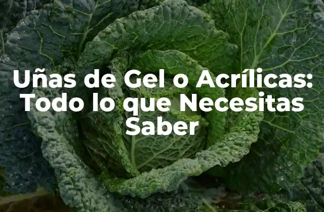 Uñas de Gel o Acrílicas: Todo Lo que Necesitas Saber