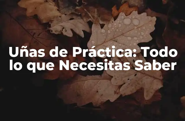 Uñas de Práctica: Todo Lo que Necesitas Saber