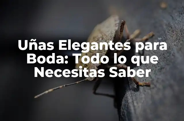 Estilos de Uñas Elegantes para Boda