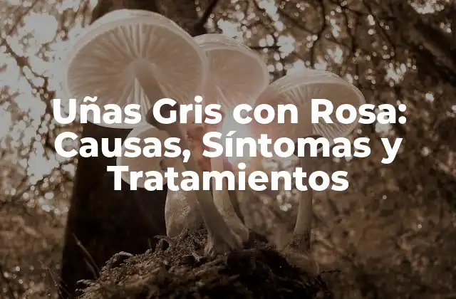 Uñas Gris con Rosa: Causas, Síntomas y Tratamientos 2 Causas de las Uñas Gris con Rosa