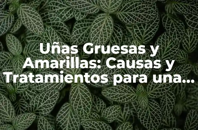 Uñas Gruesas y Amarillas: Causas y Tratamientos para una Saludable Apariencia