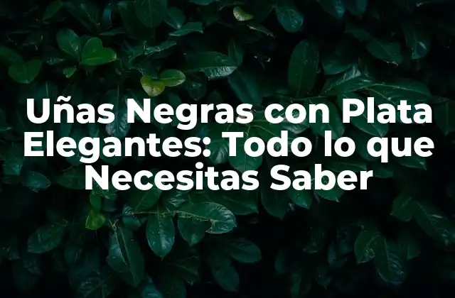 Uñas Negras con Plata Elegantes: Todo Lo que Necesitas Saber