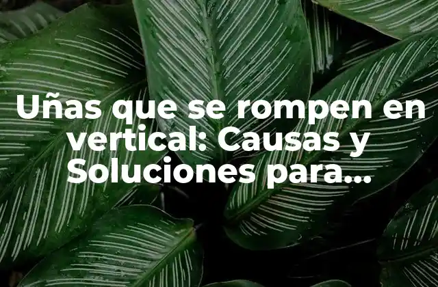 Uñas que Se Rompen en Vertical: Causas y Soluciones para Fortalecer Tus Uñas
