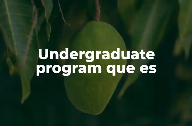 Undergraduate Program que es 7 La importancia de los programas undergraduate en la formación profesional
