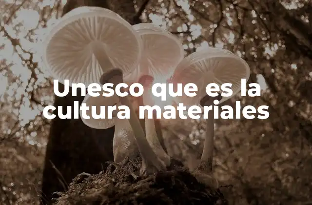 Unesco que es la Cultura Materiales