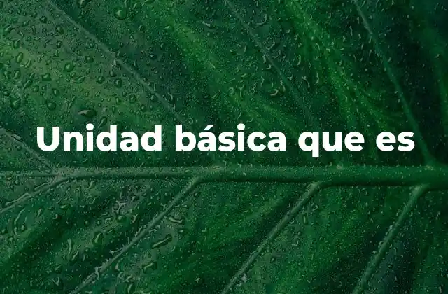 Unidad Básica que es