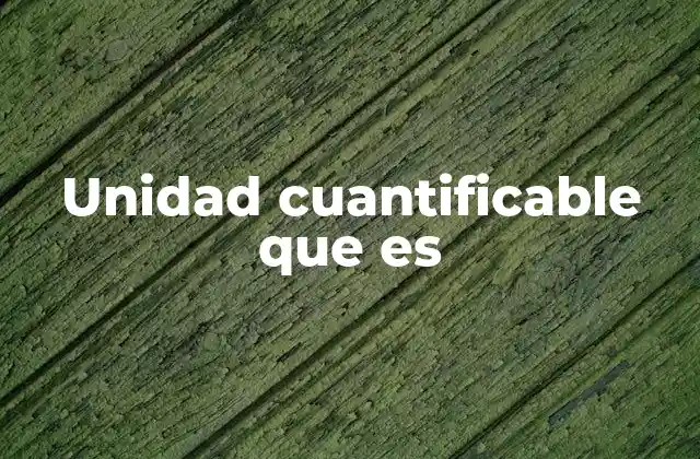 Unidad Cuantificable que es