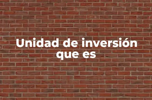 Unidad de Inversión que es