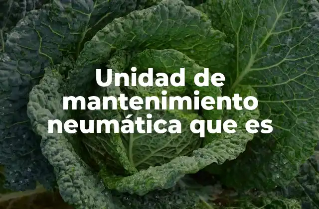 Unidad de Mantenimiento Neumática que es