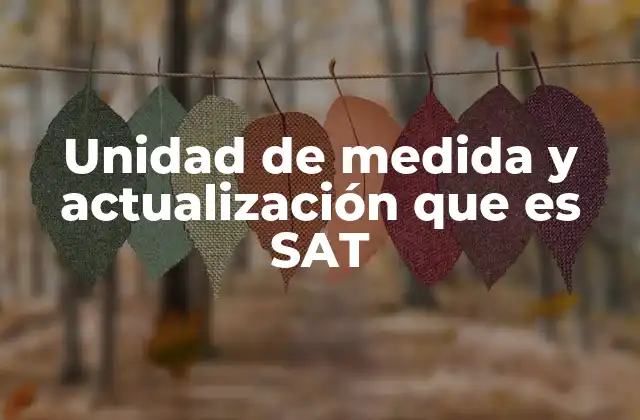 Unidad de Medida y Actualización que es Sat