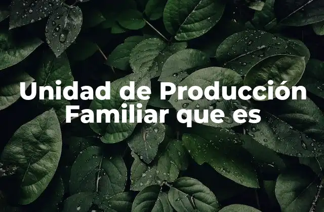 Unidad de Producción Familiar que es