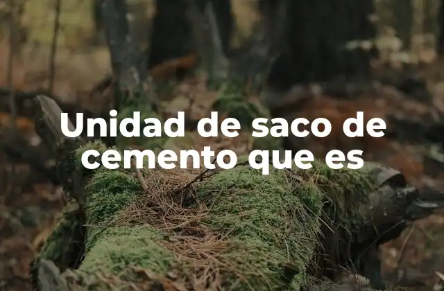 Unidad de Saco de Cemento que es