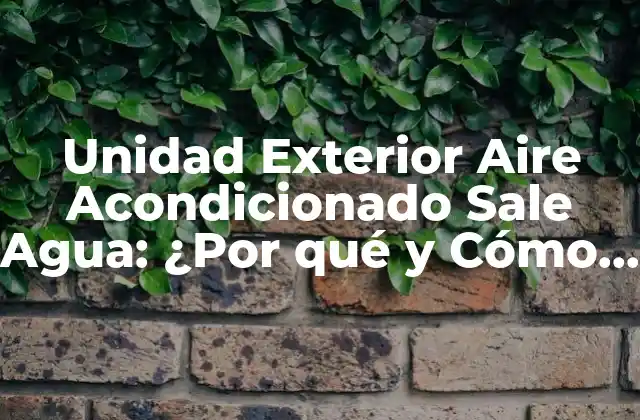 Unidad Exterior Aire Acondicionado Sale Agua: ¿por Qué y Cómo Solucionarlo?