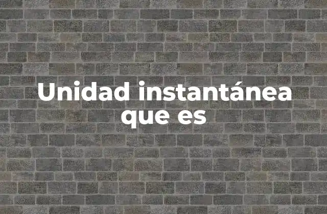 Unidad Instantánea que es