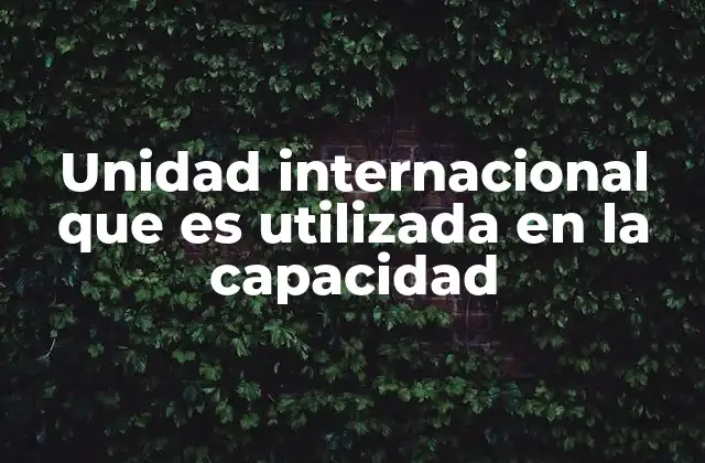 Unidad Internacional que es Utilizada en la Capacidad