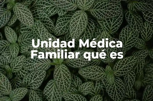 El enfoque familiar en la atención médica