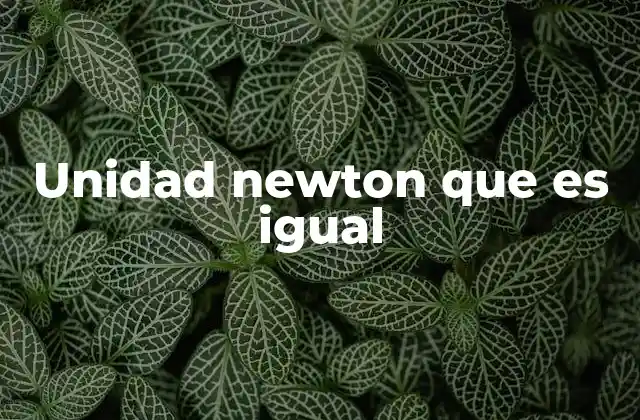 Unidad Newton que es Igual