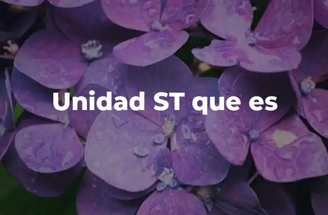Unidad St que es